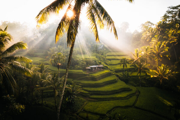 5 Must-Visit Tourist Destinations in Bali